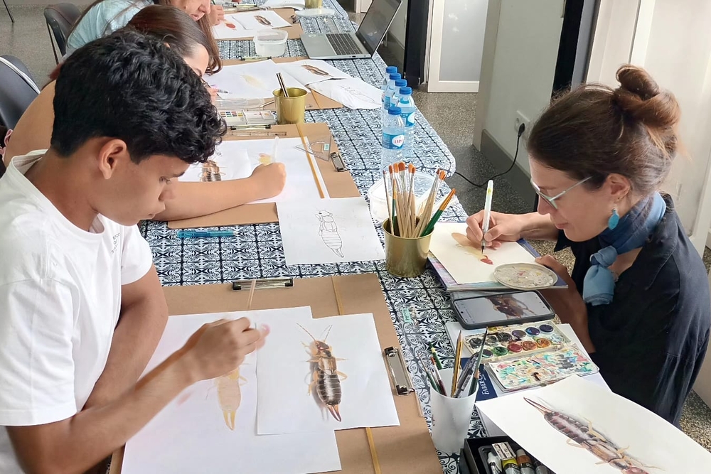 My very first scientific illustration workshop