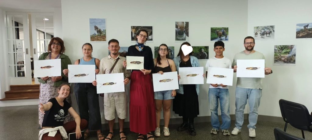 Scientific Illustration Workshop