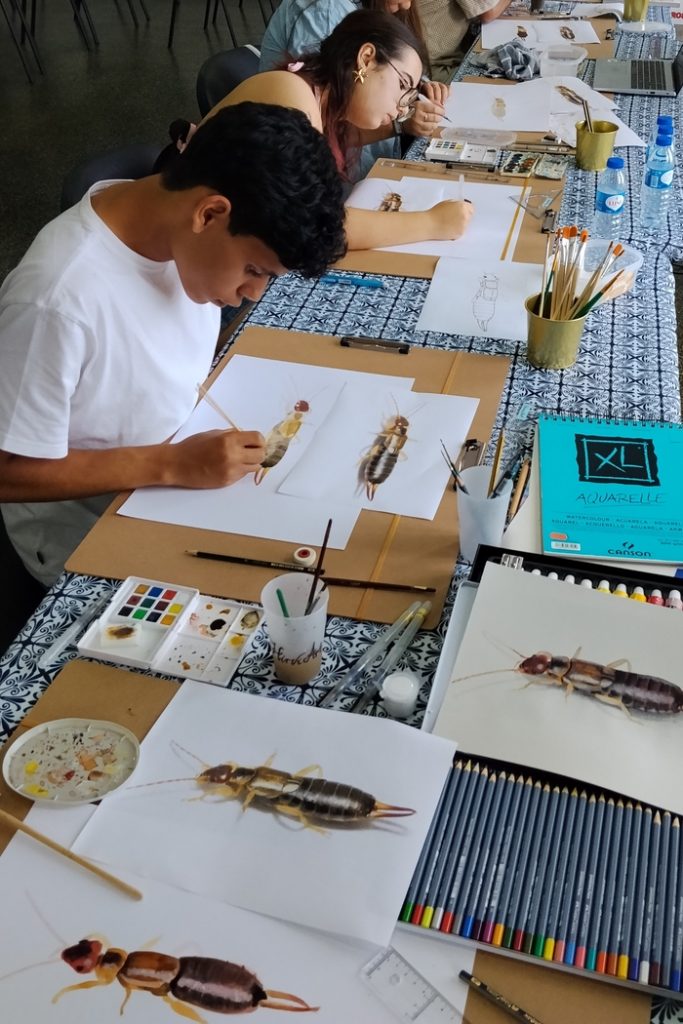 My scientific illustration workshop