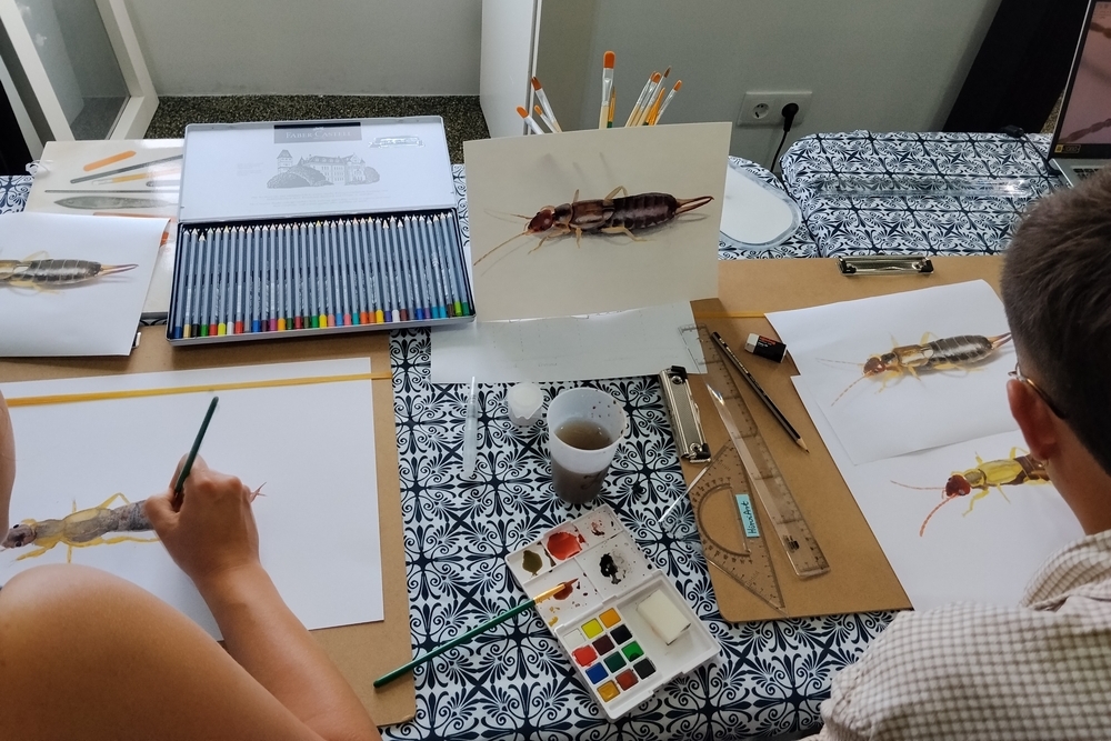 My very first scientific illustration workshop