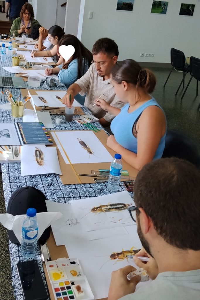 My scientific illustration workshop