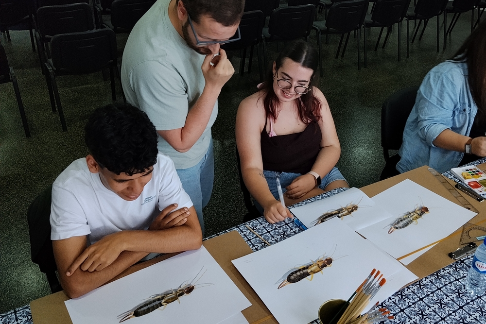 My very first scientific illustration workshop